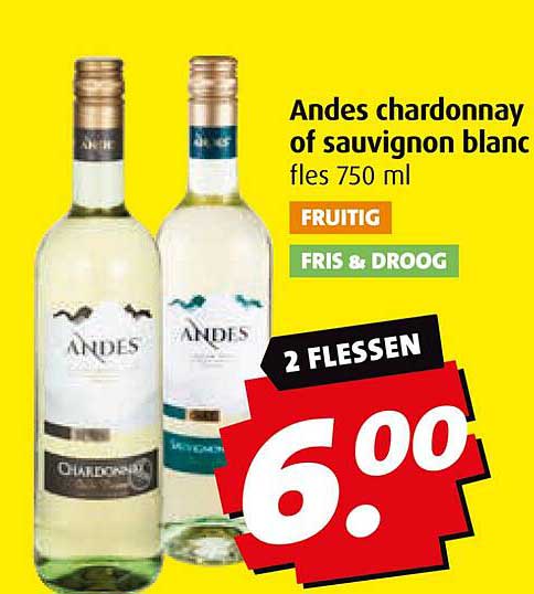 Andes chardonnay of sauvignon blanc fles 750 ml