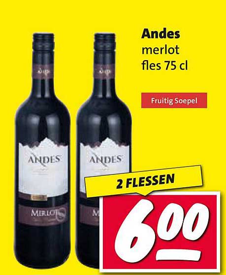 Andes merlot fles 75 cl