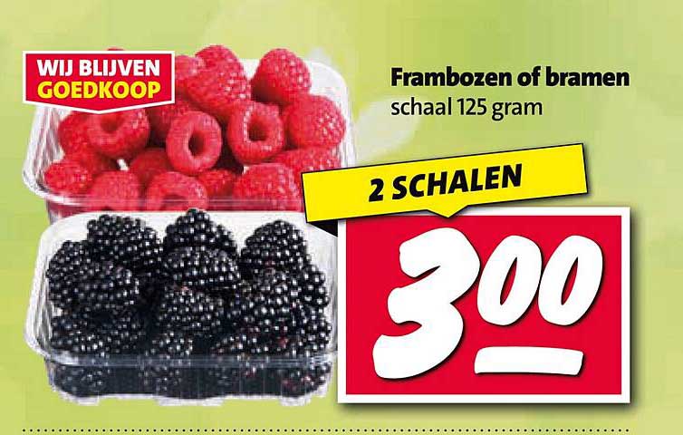 Frambozen of bramen schaal 125 gram