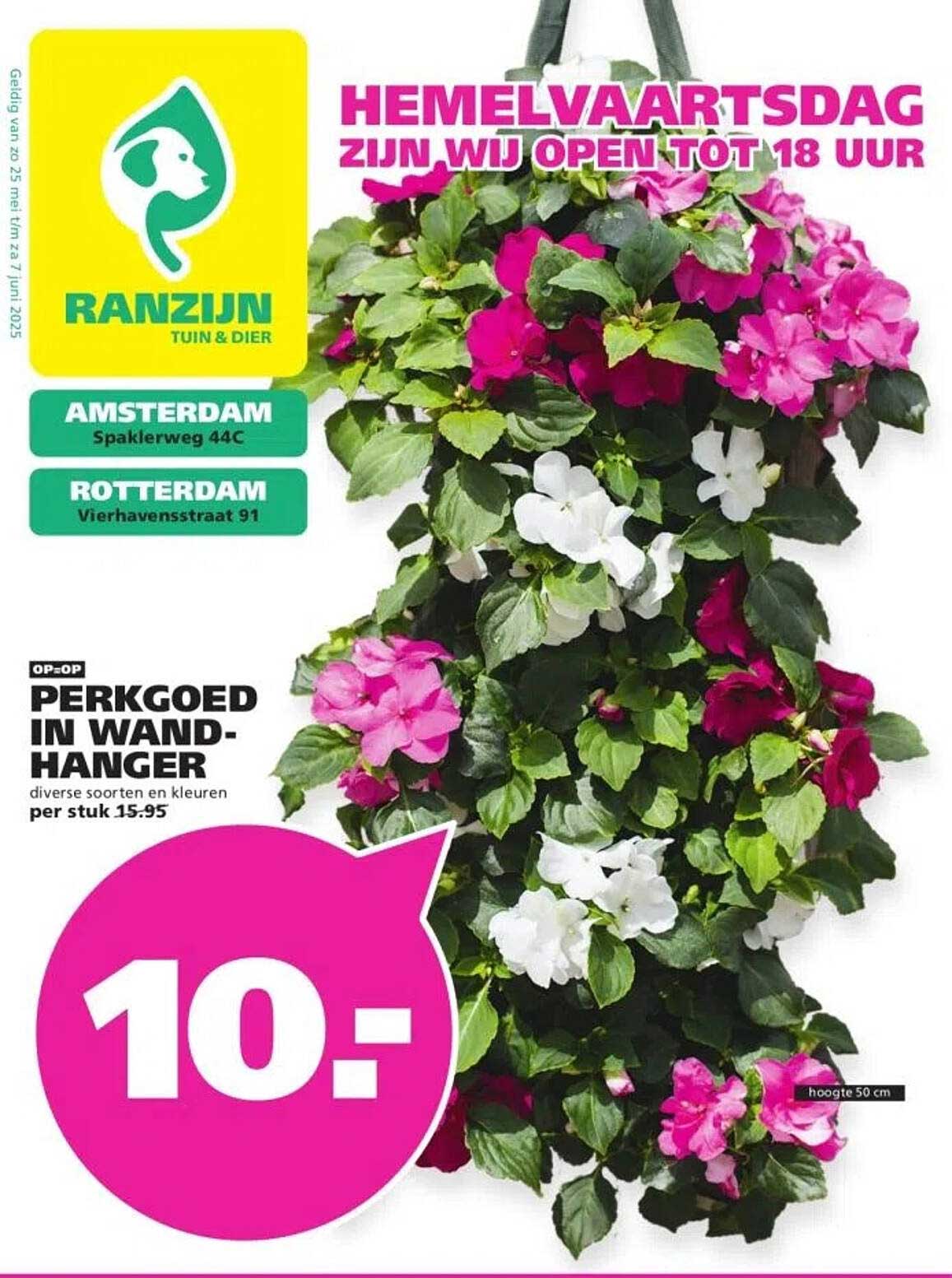 PERKG OED IN WANDHANGER