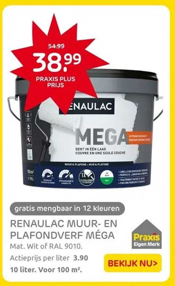 RENAULAC MUUR- EN PLAFONDVERF MÉGA