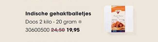 Indische gehaktballetjes