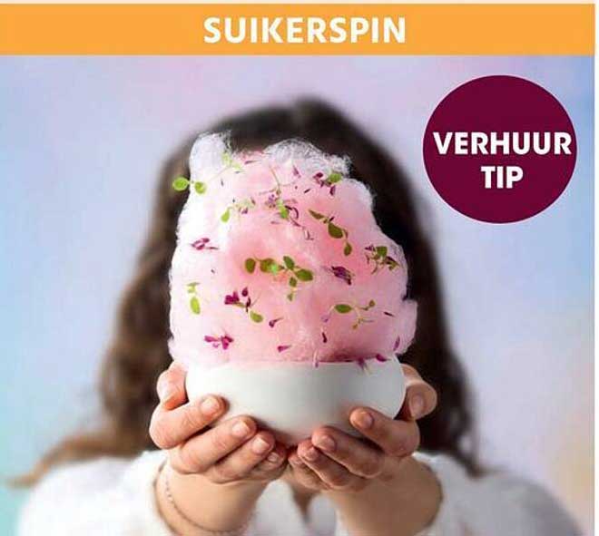 SUIKERSPIN VERHUUR TIP