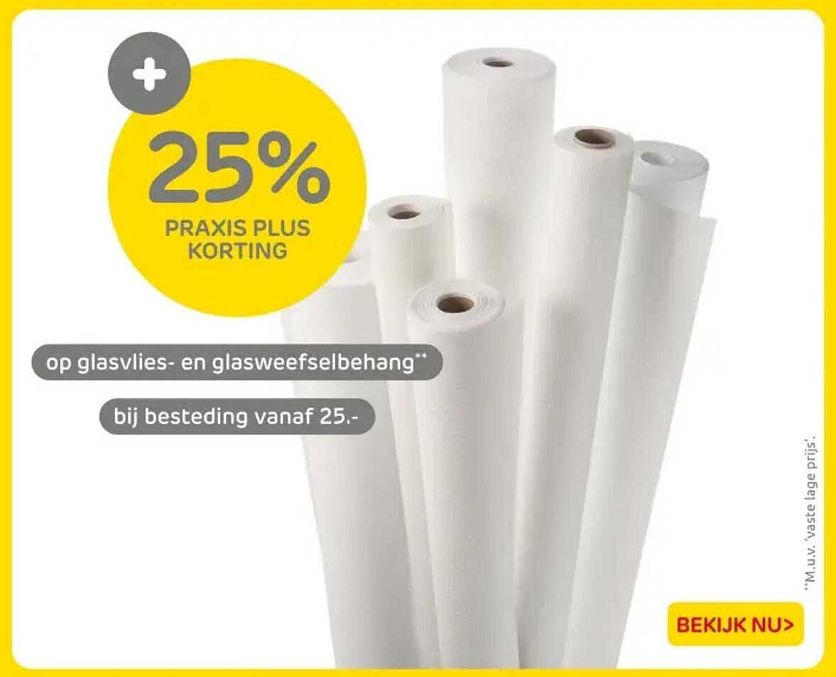 25% PRAKIS PLUS KORTING op glasvlies- en glasweefselbehang bij besteding vanaf 25.-