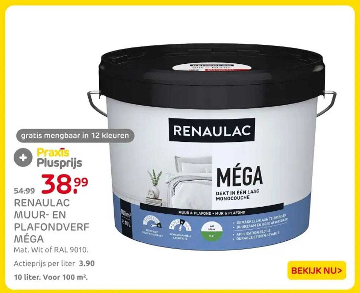 RENAULAC MUUR- EN PLAFONDVERF MÉGA