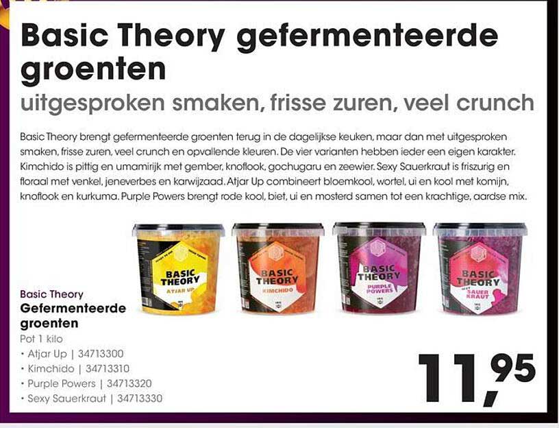 Basic Theory gefermenteerde groenten