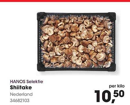 HANOS Selectie Shiitake