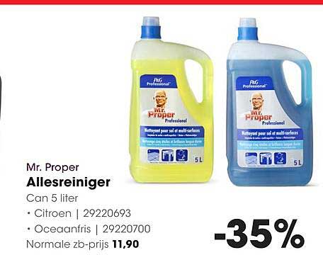 Mr. Proper Allesreiniger Can 5 liter