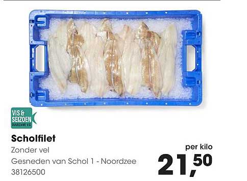Scholfilet