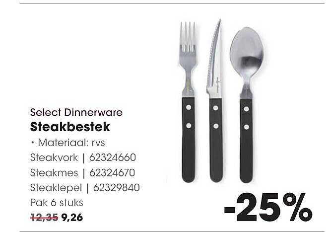Select Dinnerware Steakbestek
