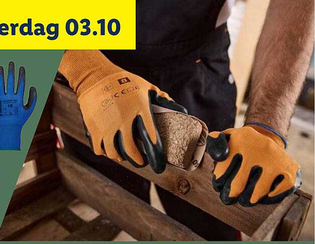 dinsdag 03.10