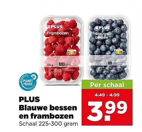 PLUS Blauwe bessen en frambozen Schaal 225-300 gram
