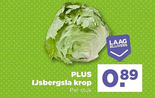 PLUS IJsbergsla krop