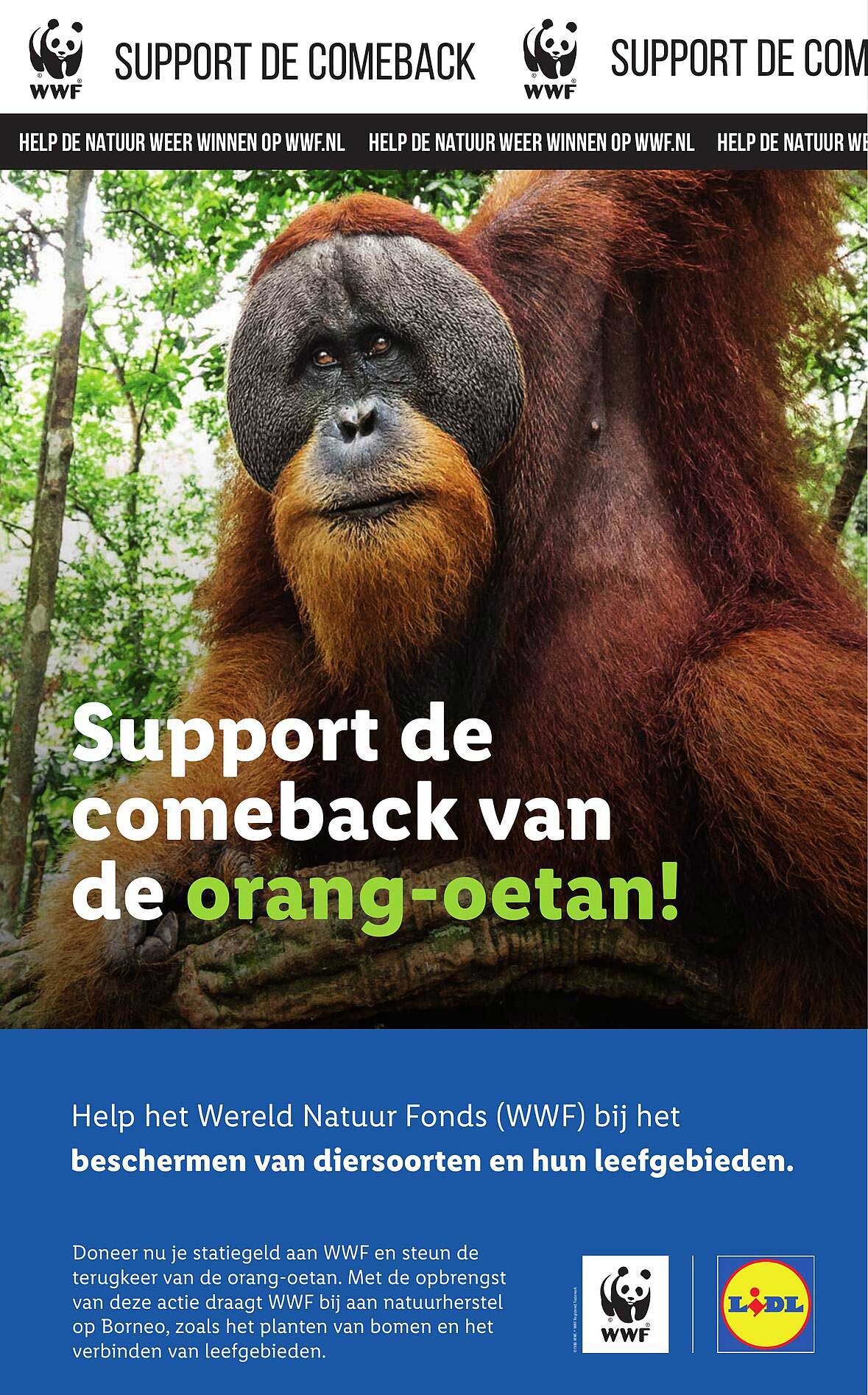 Support de comeback van de orang-oetan!