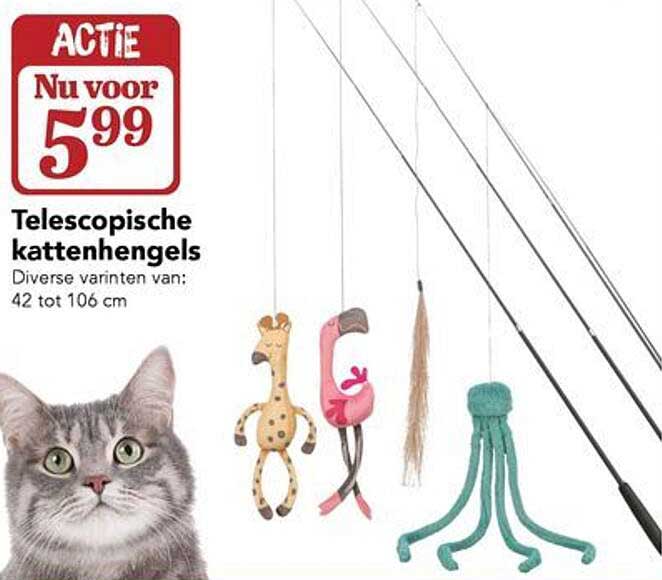 Telescopische kattenhengels