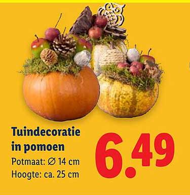 Tuindecoratie in pompoen