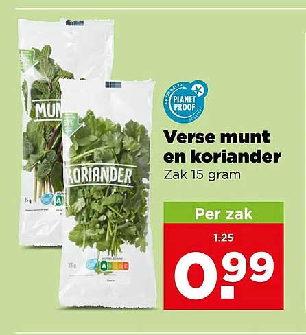 Verse munt en koriander