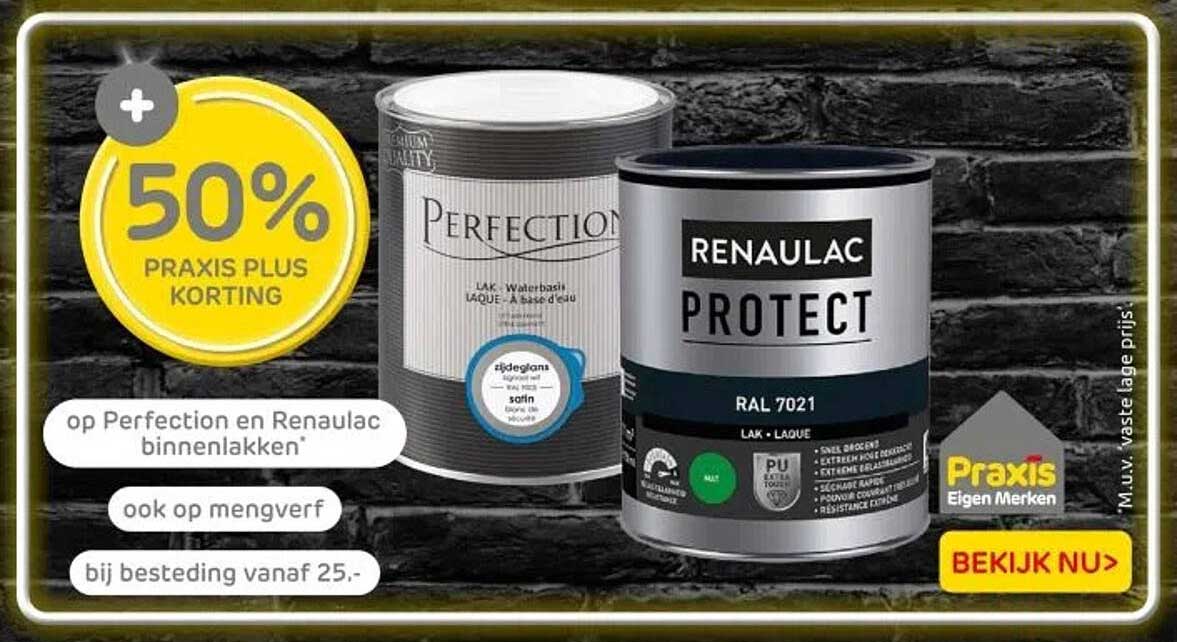 50% PRAKIS PLUS KORTING op Perfection en Renaualc binnenlakkken