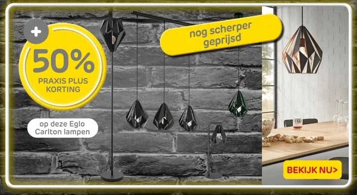 50% PRAxis Plus korting op deze Eglo Carlton lampen