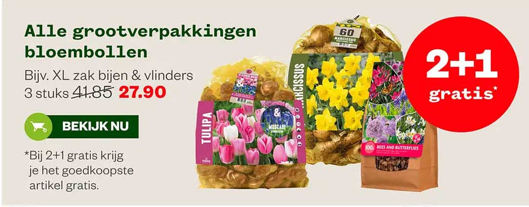 Alle grootverpakkingen bloembollen
