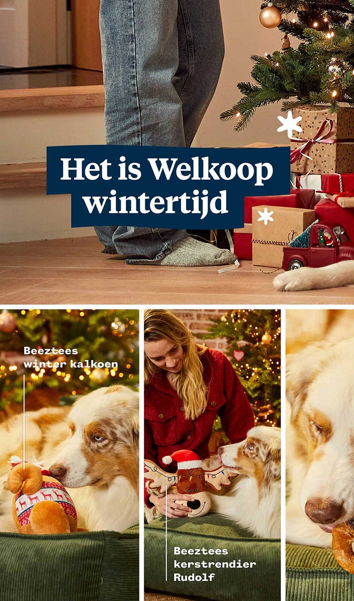 Beeztees winter kalkoen