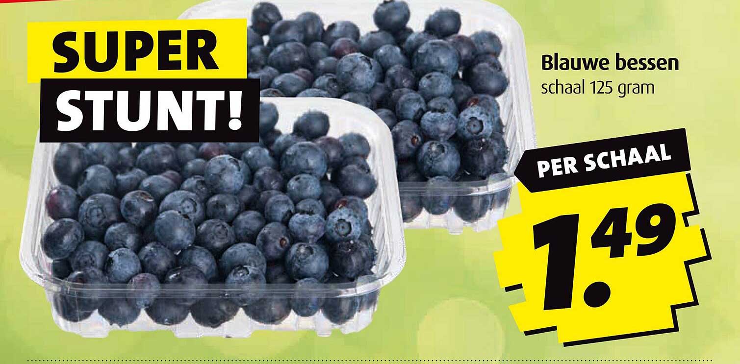 Blauwe bessen schaal 125 gram