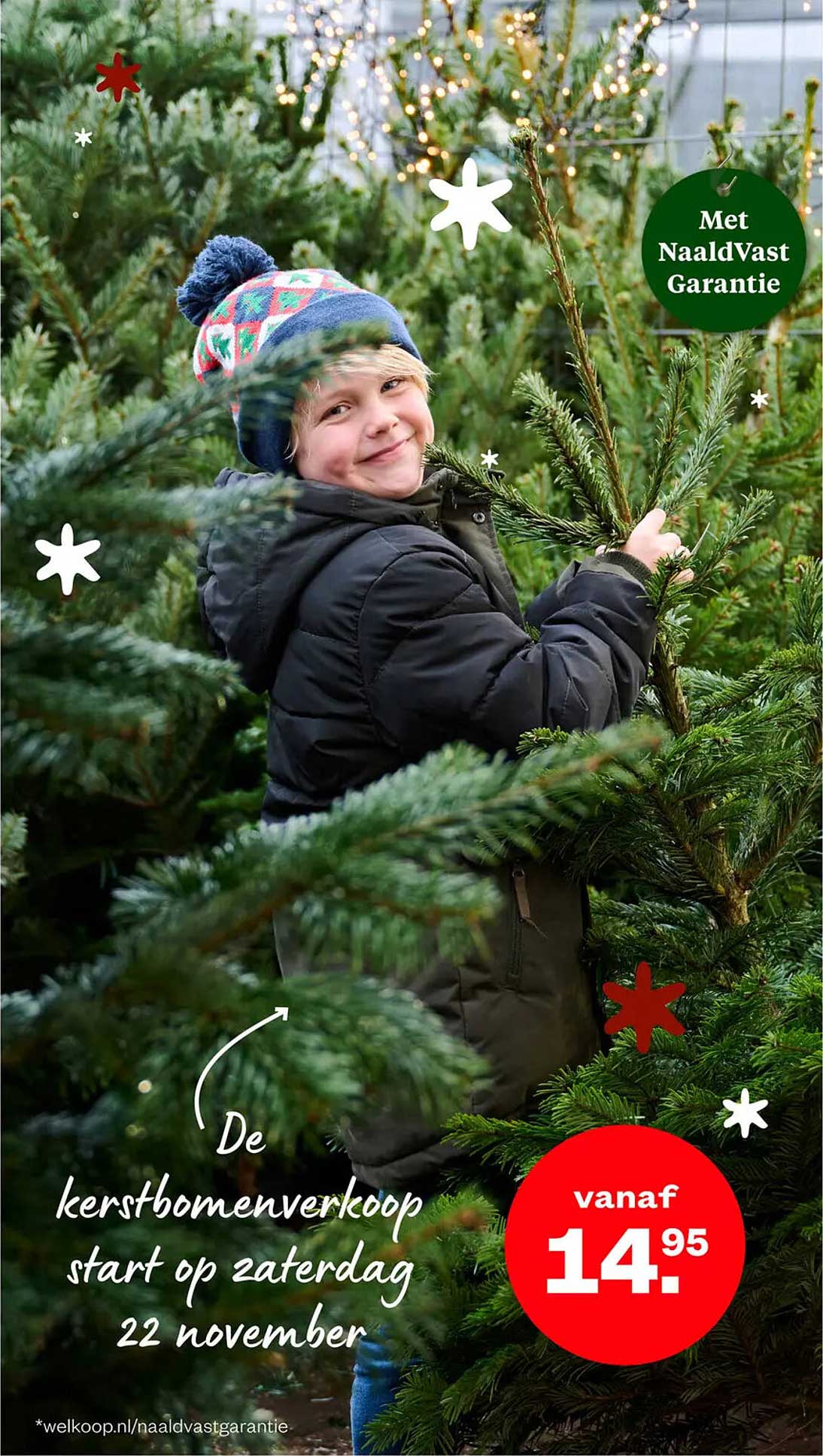 De kerstbomenverkoop start op zaterdag 22 november