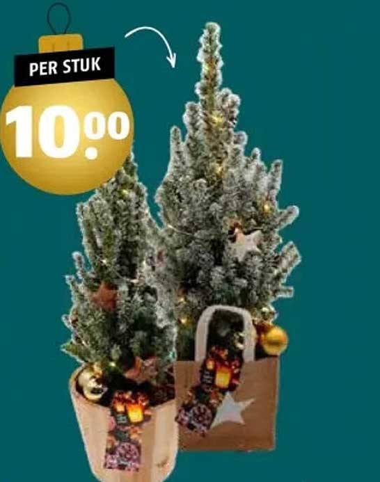 Kerstbomen per stuk voor slechts €10,00