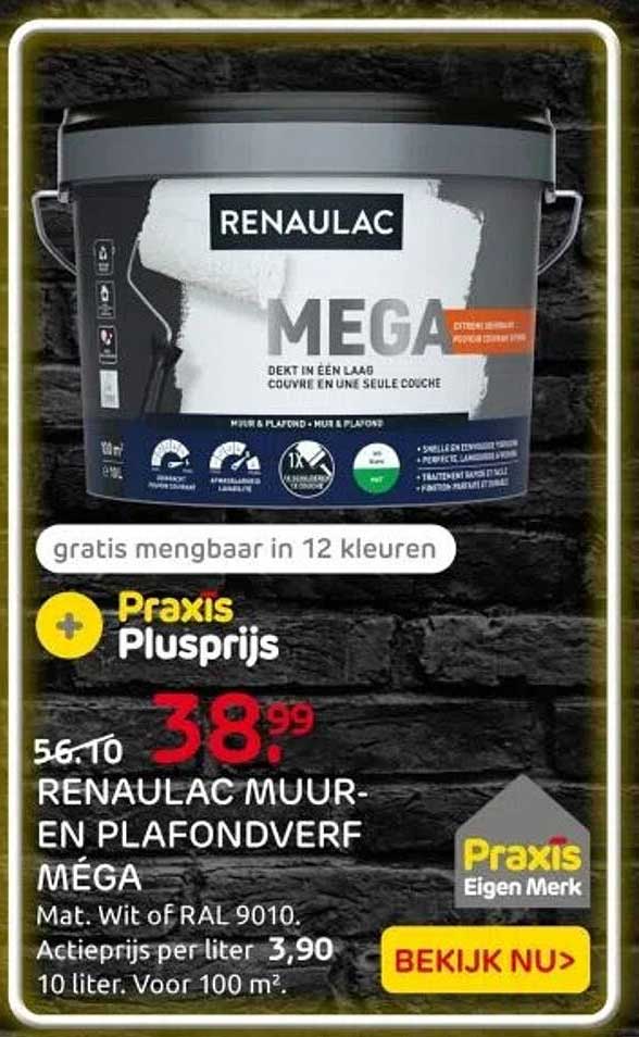 RENAULAC MUUR- EN PLAFONDVERF MÉGA