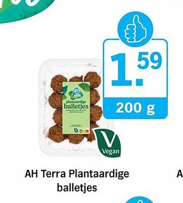 AH Terra Plantaardige balletjes