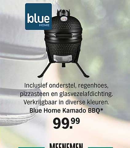 Blue Home Kamado BBQ*