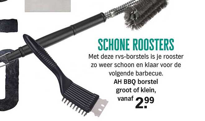 SCHONE ROOSTERS AH BBQ borstel groot of klein