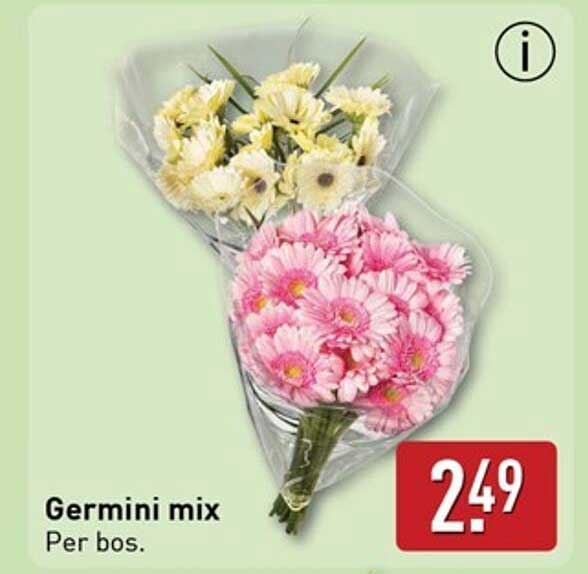 Germini mix