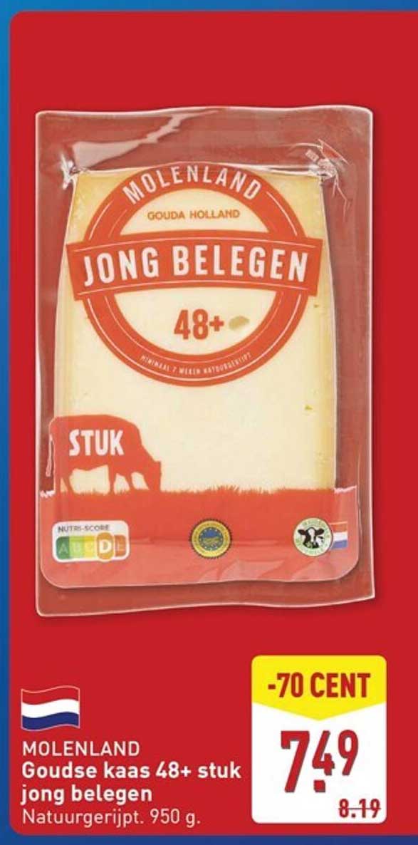 MOLENLAND Goudse kaas 48+ stuk jong belegen
