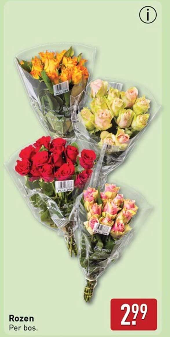 Rozen Per bos.