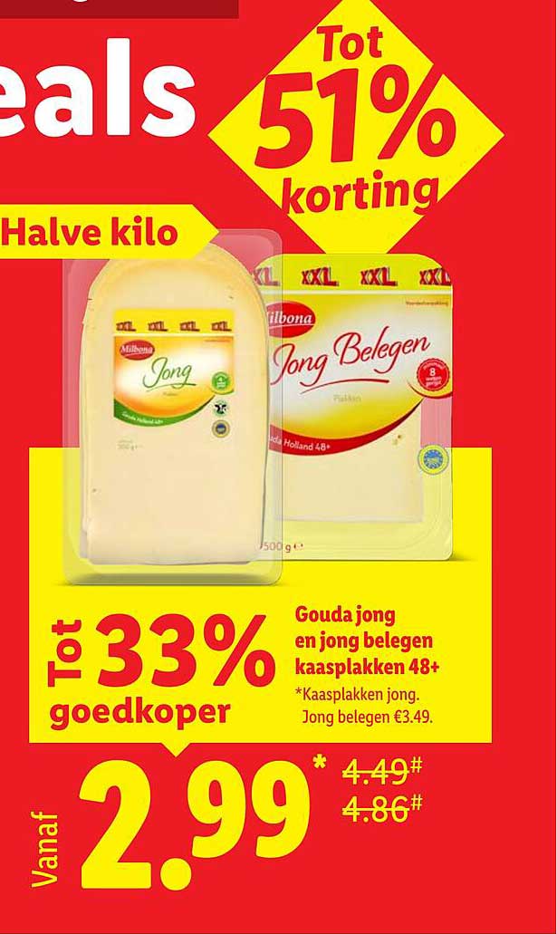 Gouda jong en jong belegen kaasplakken 48+