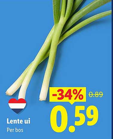 Lente ui