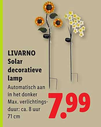 LIVARNO Solar decoratieve lamp
