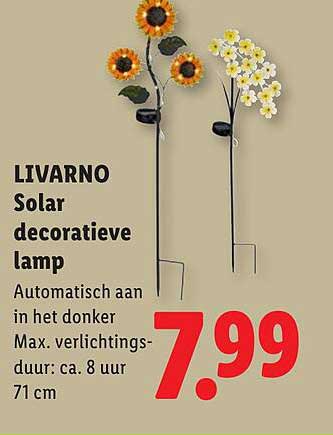 LIVARNO Solar decoratieve lamp