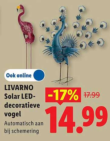 LIVARNO Solar LED-decoratieve vogel