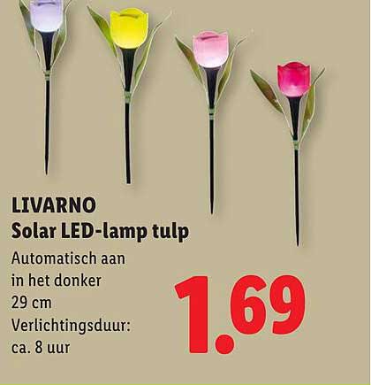 LIVARNO Solar LED-lamp tulp
