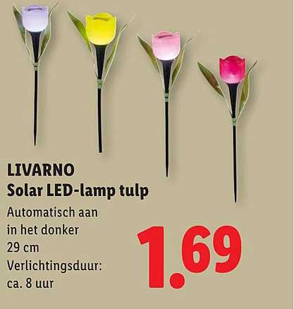 LIVARNO Solar LED-lamp tulp