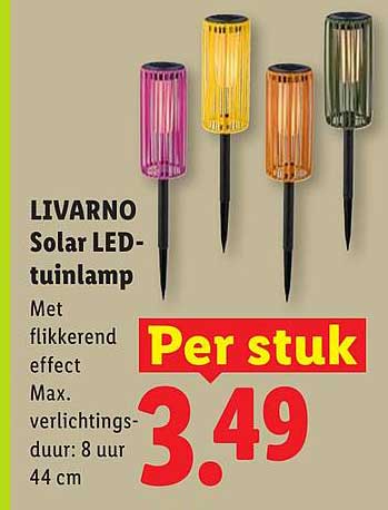 LIVARNO Solar LED-tuillamp Per stuk