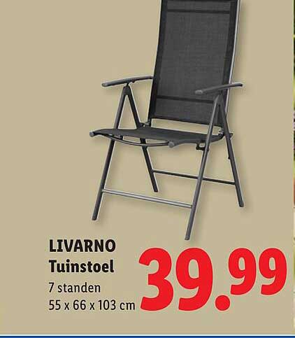 LIVARNO Tuinstoel 7 standen 55 x 66 x 103 cm