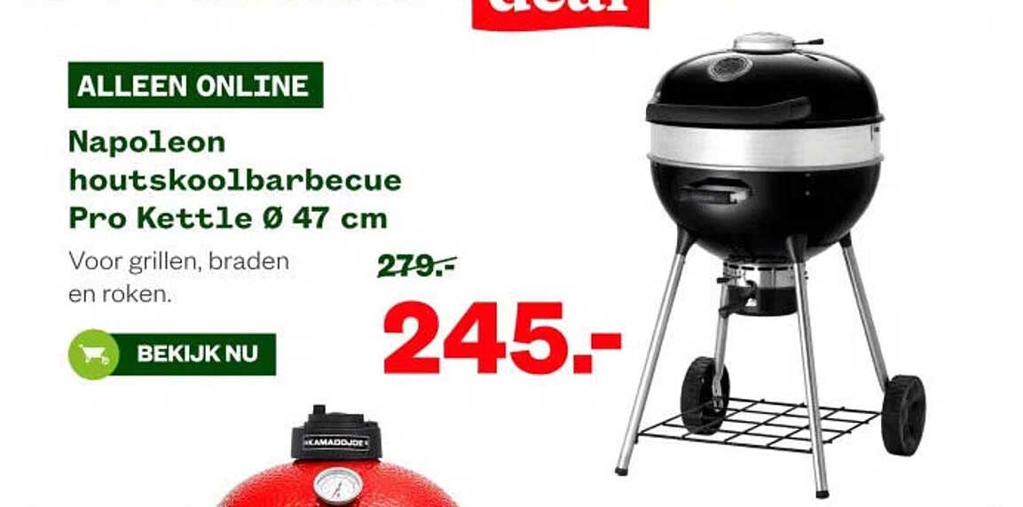 Napoleon houtskoolbarbecue Pro Kettle Ø 47 cm