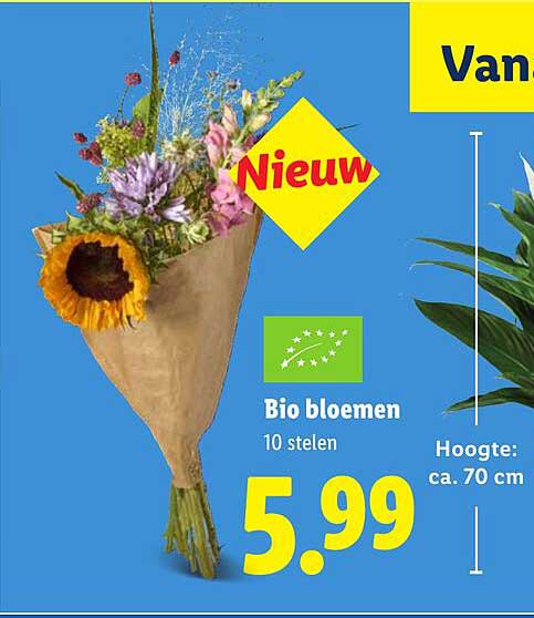 Nieuw Bio bloemen 10 stelen