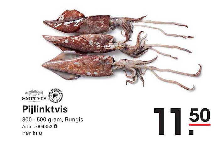 Pijlinktvis