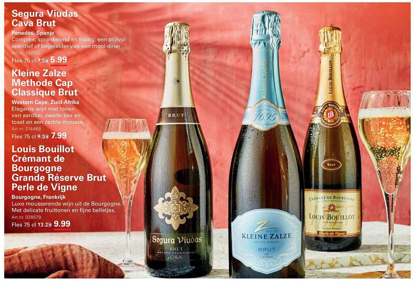 Segura Viudas Cava Brut