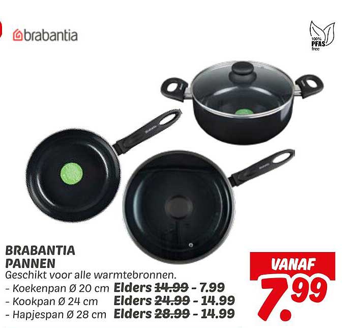 BRABANTIA PANNEN