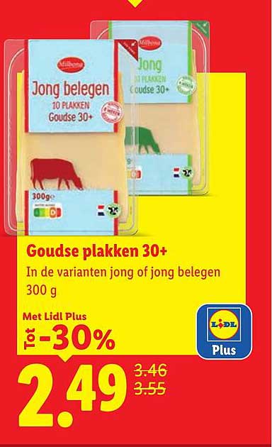 Goudse plakken 30+